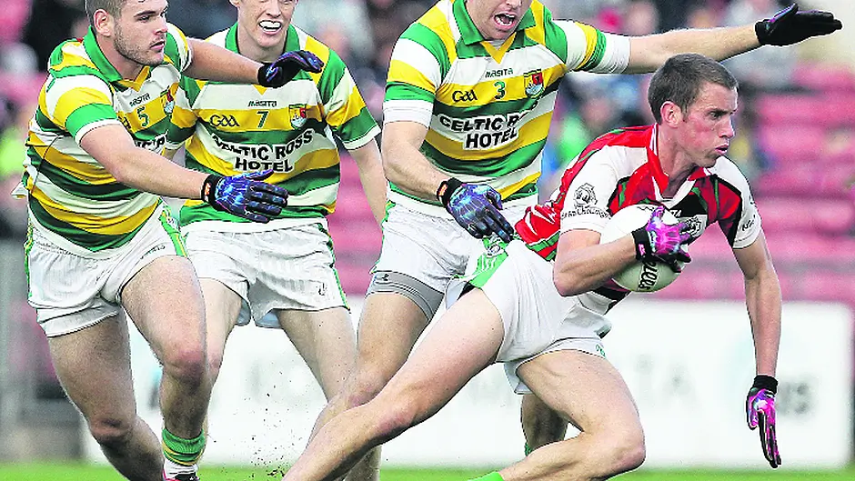Paddy Kelly: Why he's worth the entrance fee alone Image