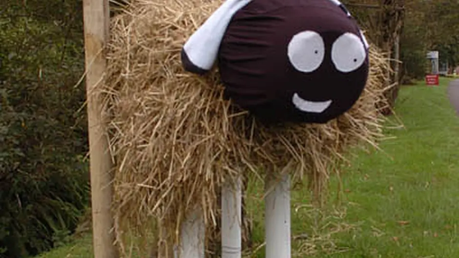 Thousands throng Leap to view scarecrows Image
