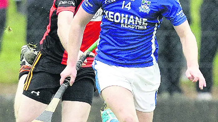 Five Kilbree hurlers win Carbery GAA All-Stars Image