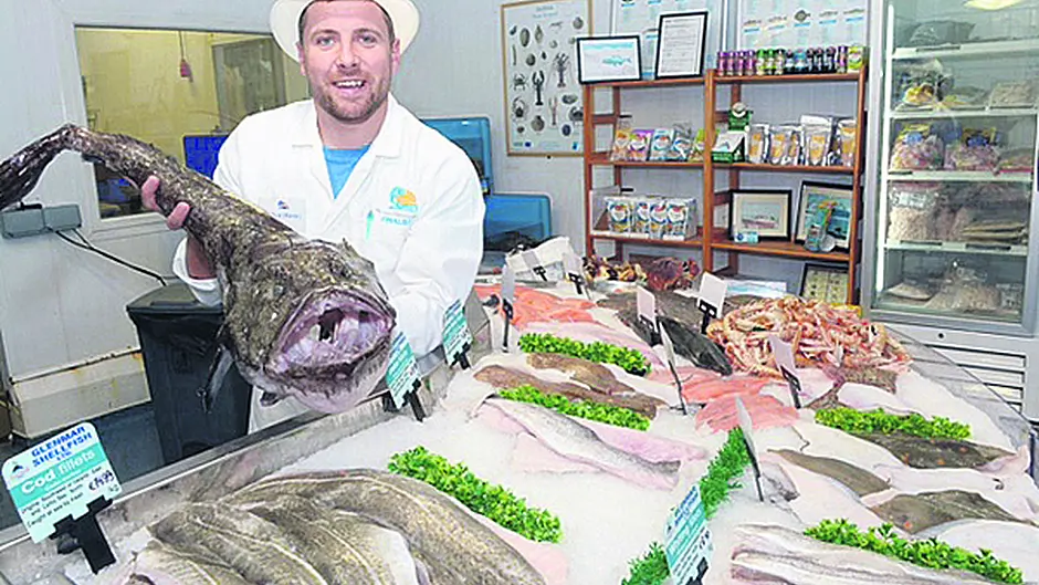 Four West Cork finalists vie for National Seafood Awards Image