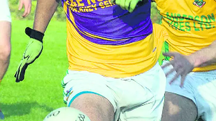 Carbery's stars will shine bright at division's annual GAA awards night Image