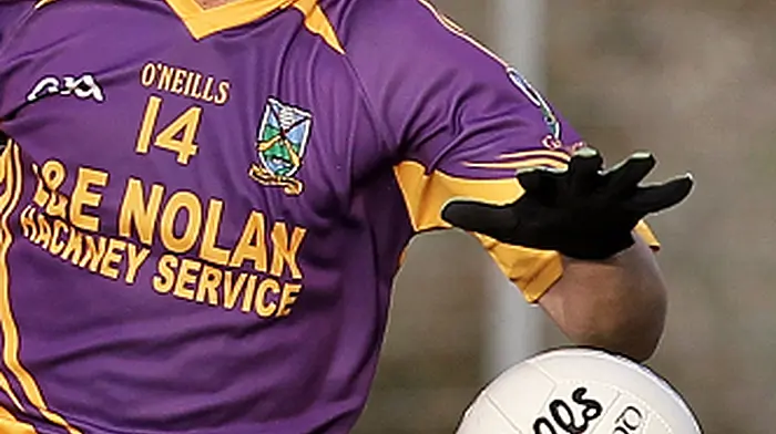Eddie Goggin and Kevin Coffey win Carbery Footballer and Hurler of the Year awards Image