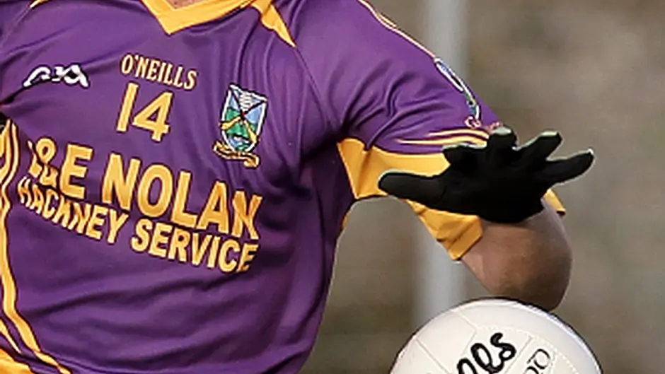 Eddie Goggin and Kevin Coffey win Carbery Footballer and Hurler of the Year awards Image