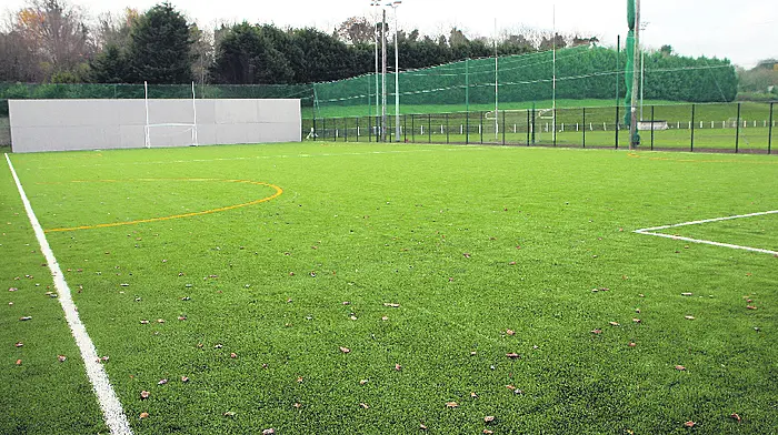 Sweetnam to officially open Doheny's new GAA facilities Image