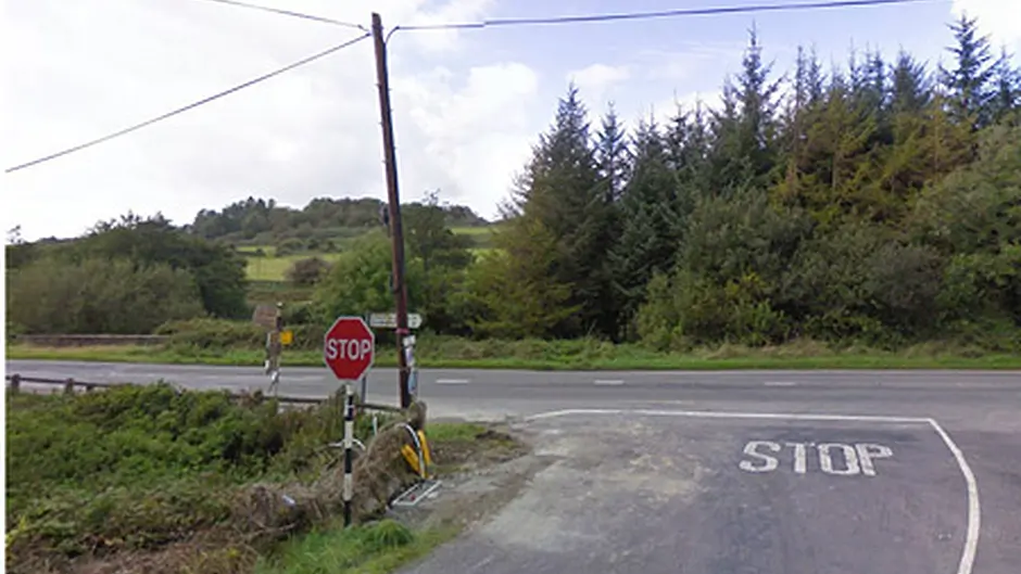 Woman (74)died within days of N71 collision Image