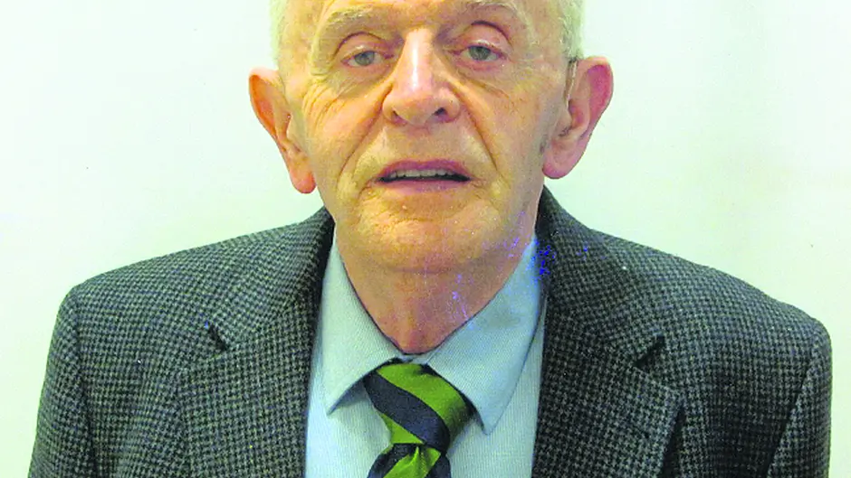 ‘Fords were never Fordes' says Henry's closest Irish relative Image