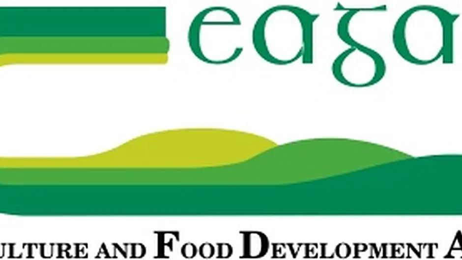 Mixed outlook for farm incomes Image