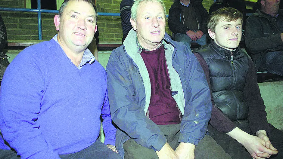 Informative event  in Skibbereen for  suckler farmers Image