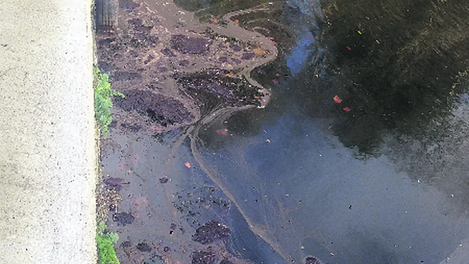 Anger at ‘slurry' in Roaringwater Bay Image