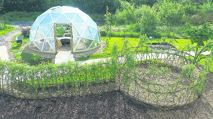 Backing garden project at Skibb school Image