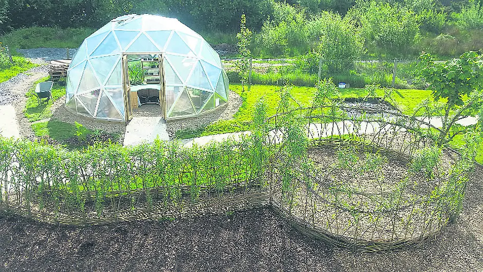 Backing garden project at Skibb school Image