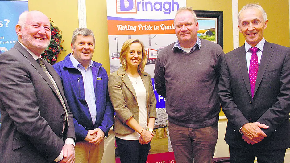 One-to-one advice at Drinagh workshop Image