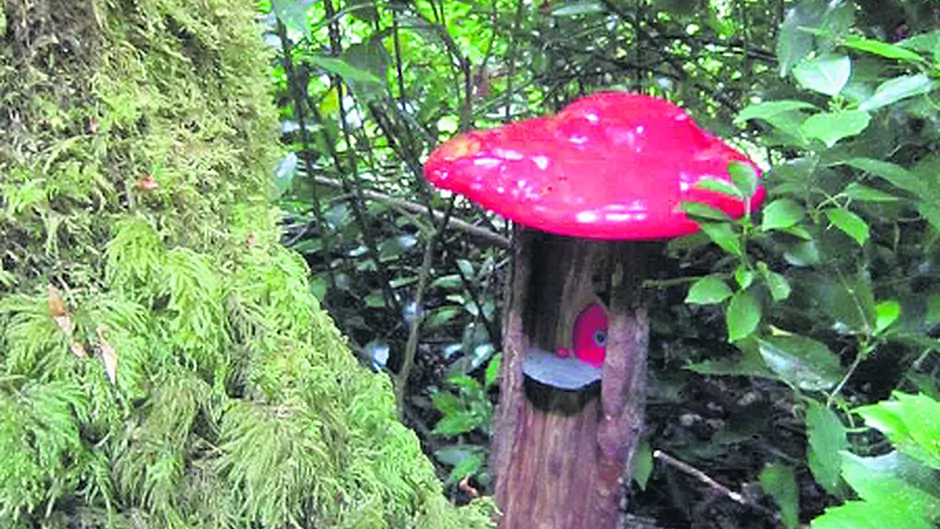 Forlorn fairies find a new fortress Image