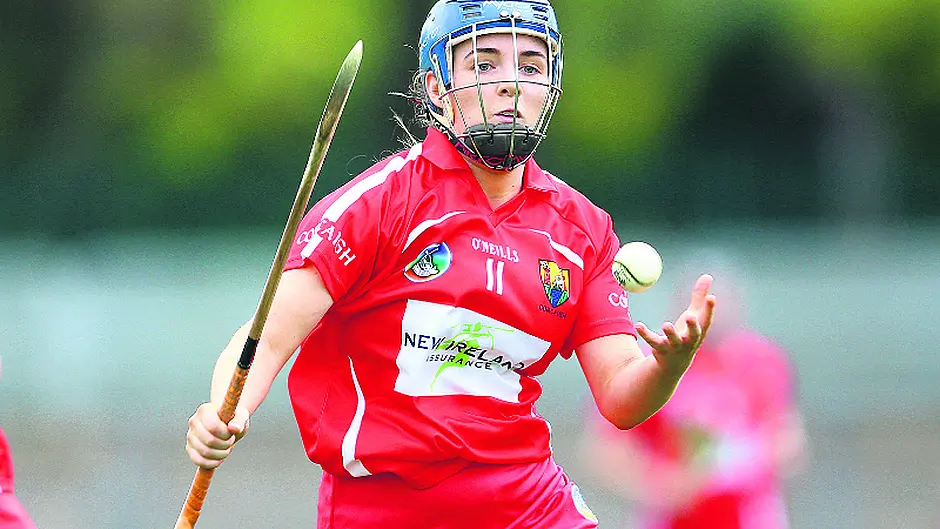Cronin's excited as Cork regroup Image