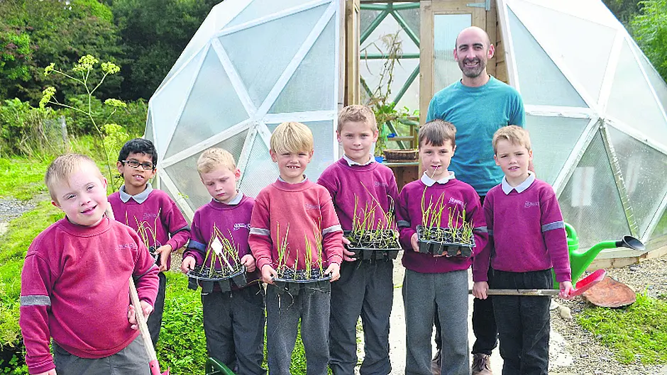 Skibbereen school garden project shortlisted for Get Involved award Image