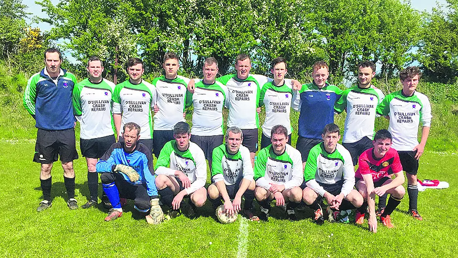 Battling Ballydehob survive Image