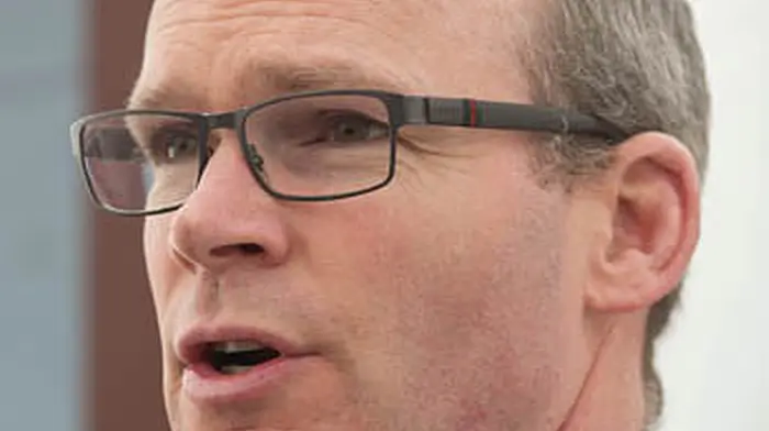 Housing body will be taken to task over Carrigaline Image