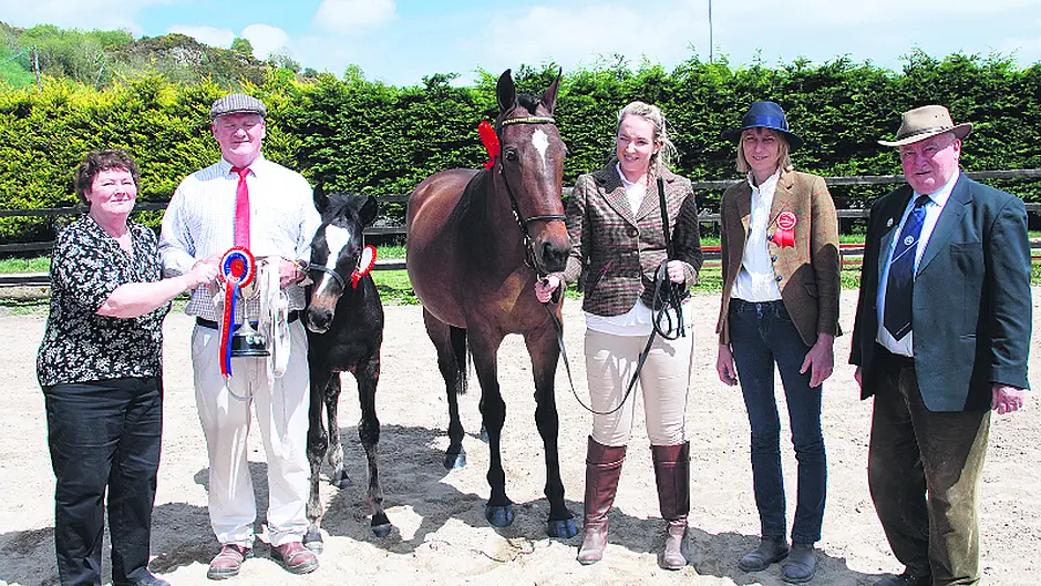 Leap Show held in beautiful sunshine Image