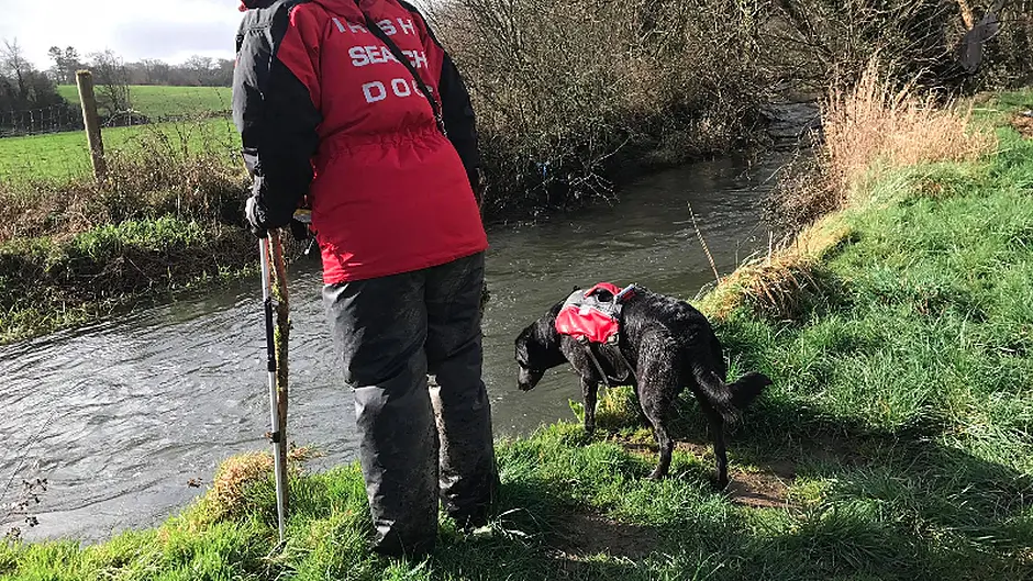 Ballyvourney woman found ‘safe and well' after search operation Image