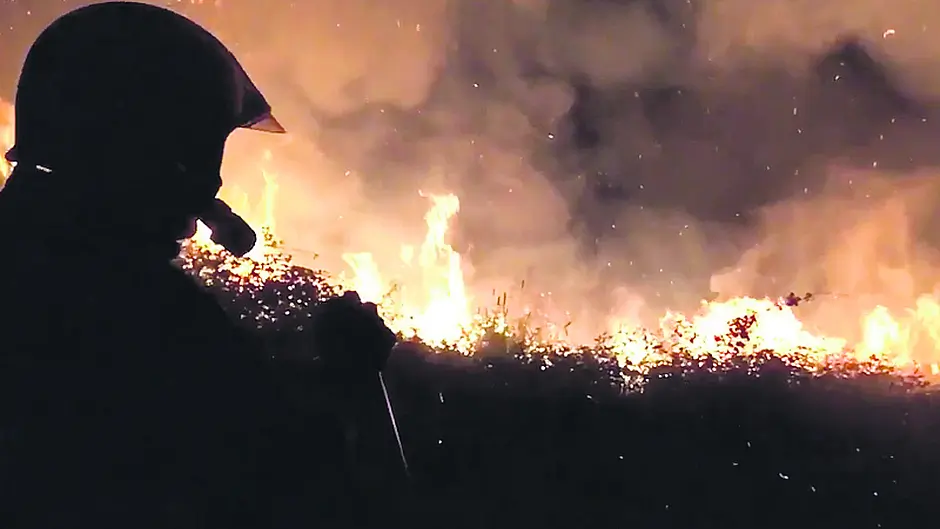 Over €1m spent in five years on gorse fires Image