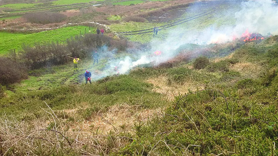 GORSE FIRES SPECIAL: Upland areas must be better managed Image