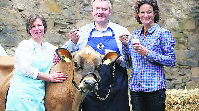 Glenilen gets  major UK yoghurt deal Image