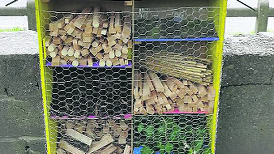 ‘Bug' interest as Bandon's new 6-star insect hotel grows legs Image