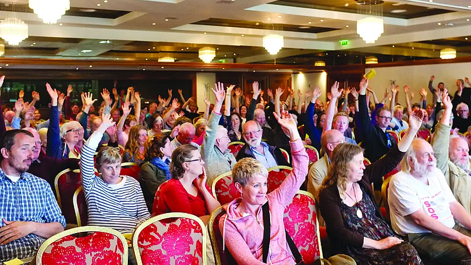 Protestors intensify campaign against Bantry kelp farm Image