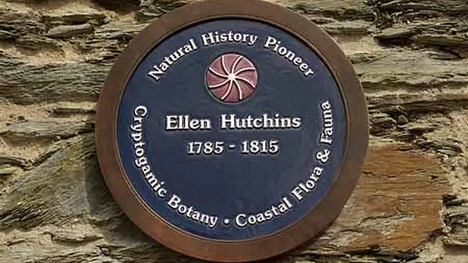 trail in honour of Bantry's Ellen Image
