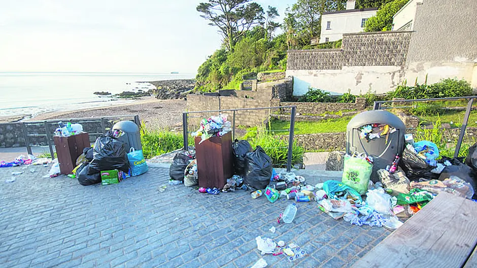 Beach bins could be a ‘thing of past' after Myrtleville incident Image