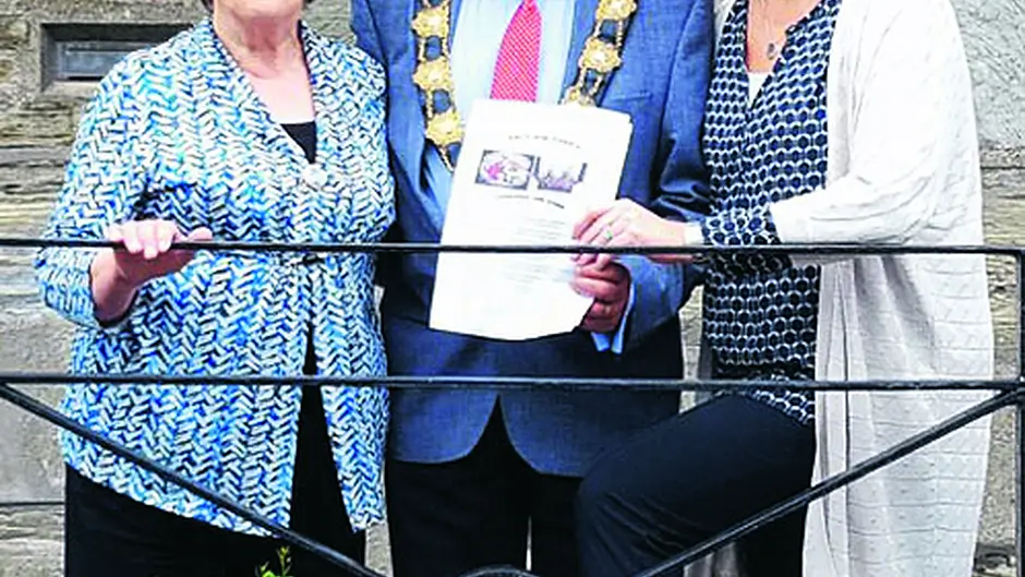 Clon's popular window box challenge is on Image