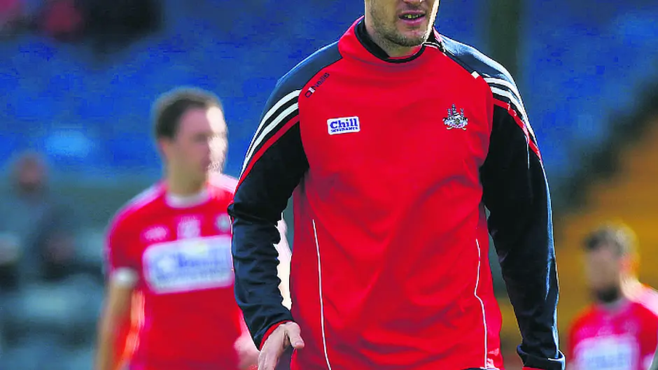 Sheehan helping Rebels plot Kingdom's downfall Image