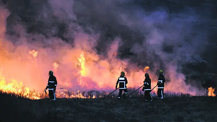 Downturn in number of trained  firefighters retained by Council Image