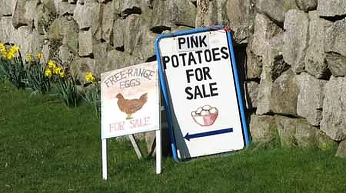 Council targets hazardous adverts Image