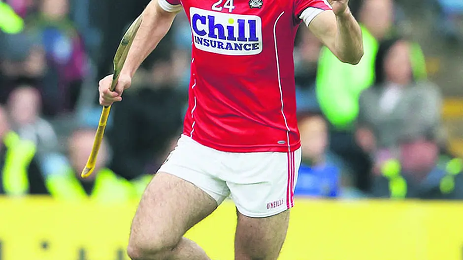 Duo put West Cork hurling on the map Image