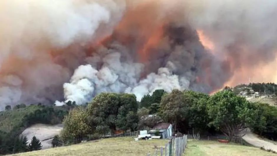 West Cork couple describe the fire that destroyed their South African home Image