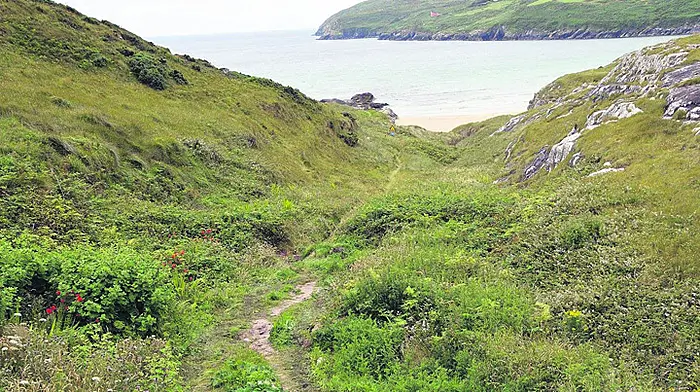 Welcome access to Chimney Cove Image
