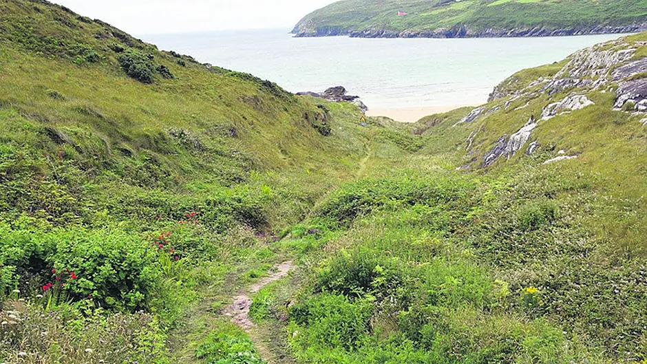 Welcome access to Chimney Cove Image