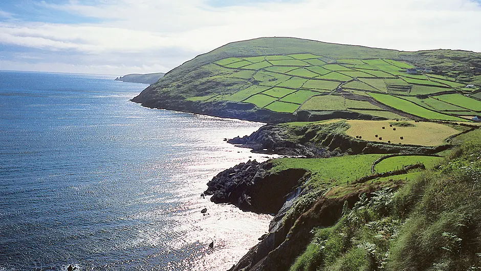 Poor wi-fi is affecting progress of Bantry/Beara Image