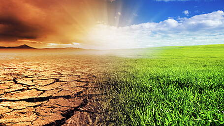IFA calls for a climate action programme Image