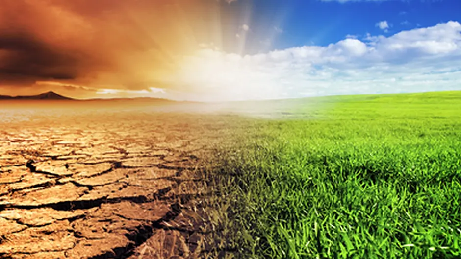 IFA calls for a climate action programme Image