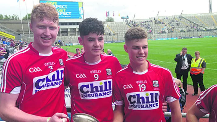 West Cork hurlers shine on big stage Image