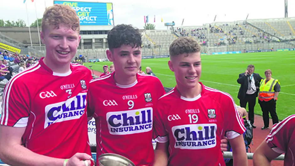 West Cork hurlers shine on big stage Image