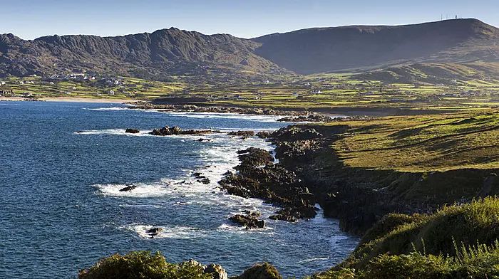 Tourism chief says ‘large' coaches are ‘not wanted' on Ring of Beara Image