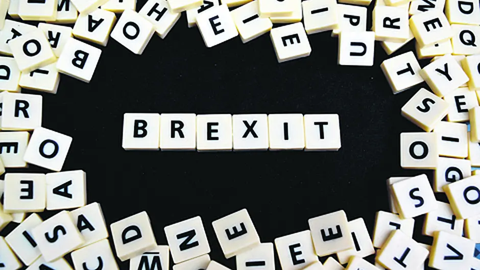British government ‘flip-flopping' ahead of Brexit says MEP Ní Riada Image