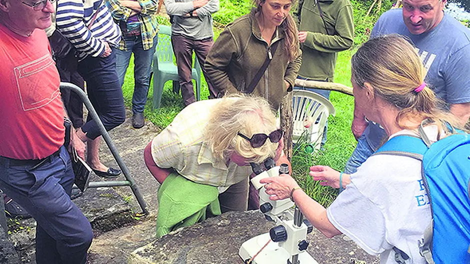The Ellen Hutchins festival welcomes home an old friend Image