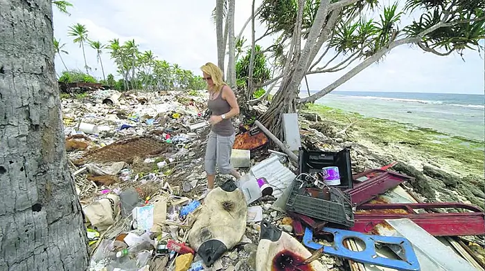 Festival's free screening of film on our ‘plastic oceans' Image