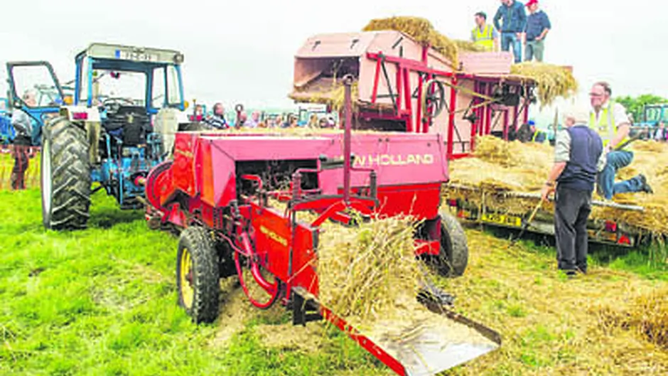 Huge turnout for Ford 100 event in Bal Image