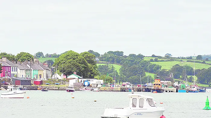 Wild Atlantic Way will make Seven Heads properties ‘more saleable' Image