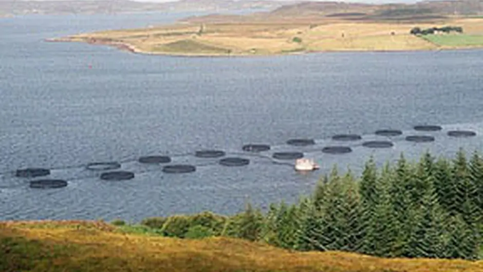 Bantry salmon farm decision by December Image